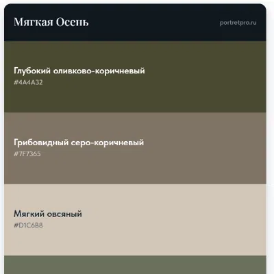 Раздел отчёта: палитра с собой
